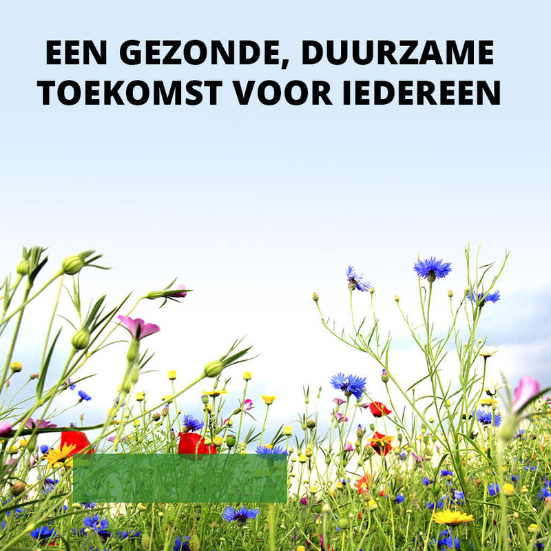 veldbloemen4